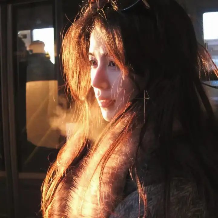 自然世界：动物之家